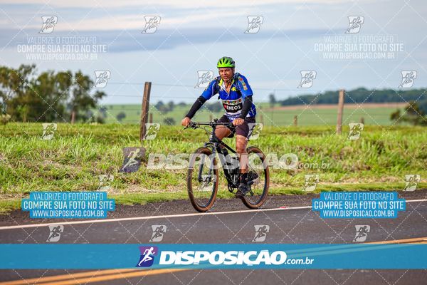 4ª CORRIDA PORTO A PORTO VANDERLEI CORDEIRO DE LIMA