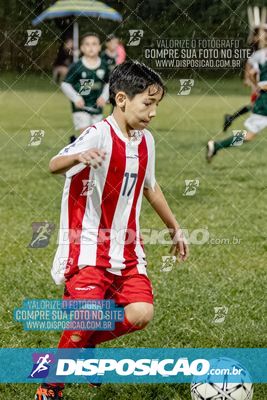 Torneio Academia Palmeiras  x Laranja Mecânica x Toque de Classe
