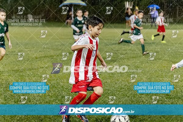 Torneio Academia Palmeiras  x Laranja Mecânica x Toque de Classe