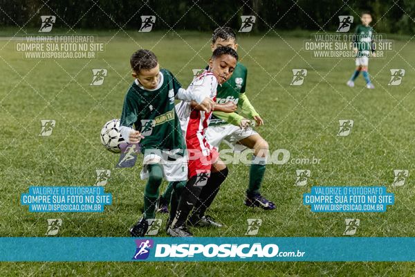 Torneio Academia Palmeiras  x Laranja Mecânica x Toque de Classe