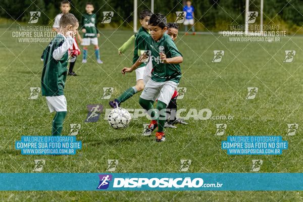 Torneio Academia Palmeiras  x Laranja Mecânica x Toque de Classe