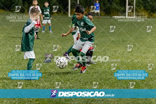 Torneio Academia Palmeiras  x Laranja Mecânica x Toque de Classe
