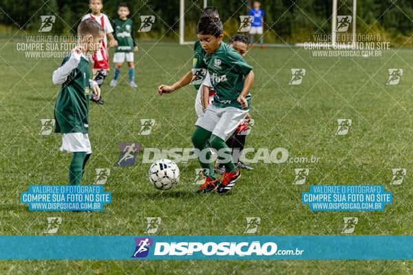 Torneio Academia Palmeiras  x Laranja Mecânica x Toque de Classe
