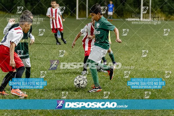 Torneio Academia Palmeiras  x Laranja Mecânica x Toque de Classe