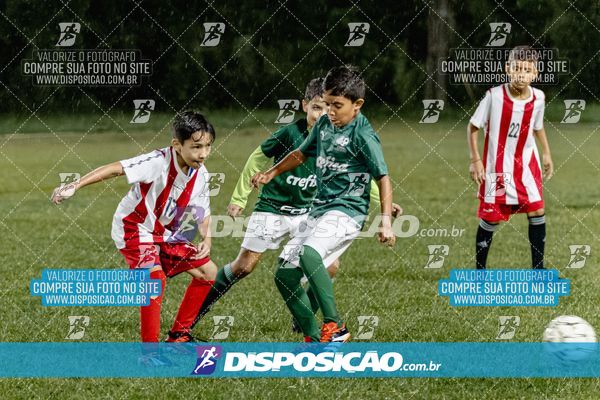 Torneio Academia Palmeiras  x Laranja Mecânica x Toque de Classe