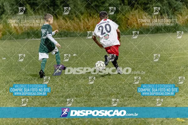 Torneio Academia Palmeiras  x Laranja Mecânica x Toque de Classe