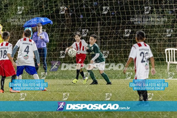 Torneio Academia Palmeiras  x Laranja Mecânica x Toque de Classe