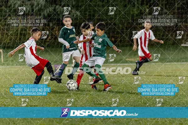 Torneio Academia Palmeiras  x Laranja Mecânica x Toque de Classe