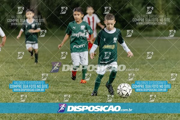 Torneio Academia Palmeiras  x Laranja Mecânica x Toque de Classe