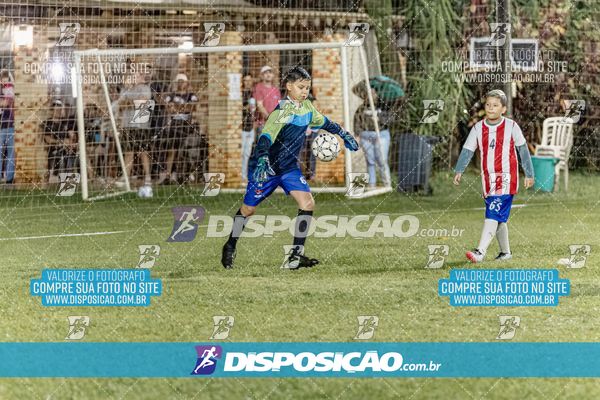 Torneio Academia Palmeiras  x Laranja Mecânica x Toque de Classe