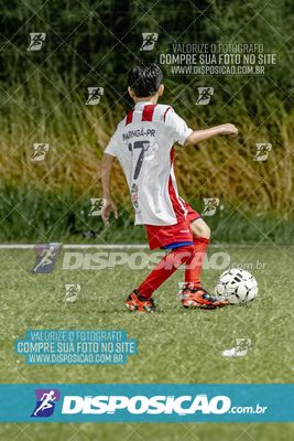 Torneio Academia Palmeiras  x Laranja Mecânica x Toque de Classe