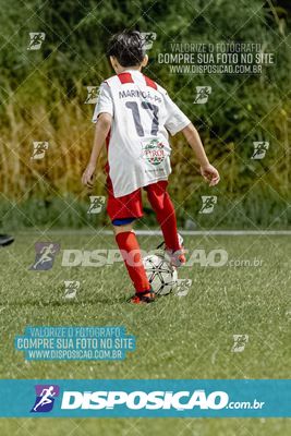 Torneio Academia Palmeiras  x Laranja Mecânica x Toque de Classe