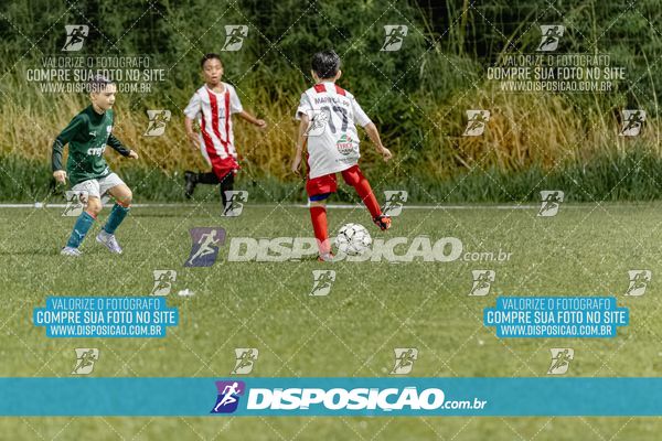 Torneio Academia Palmeiras  x Laranja Mecânica x Toque de Classe