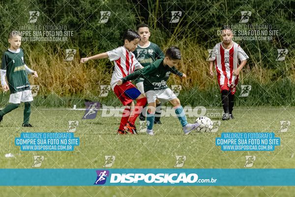 Torneio Academia Palmeiras  x Laranja Mecânica x Toque de Classe