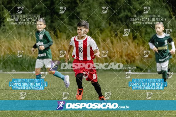 Torneio Academia Palmeiras  x Laranja Mecânica x Toque de Classe