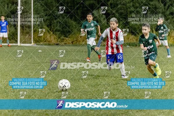 Torneio Academia Palmeiras  x Laranja Mecânica x Toque de Classe