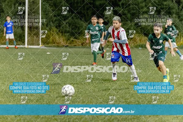 Torneio Academia Palmeiras  x Laranja Mecânica x Toque de Classe