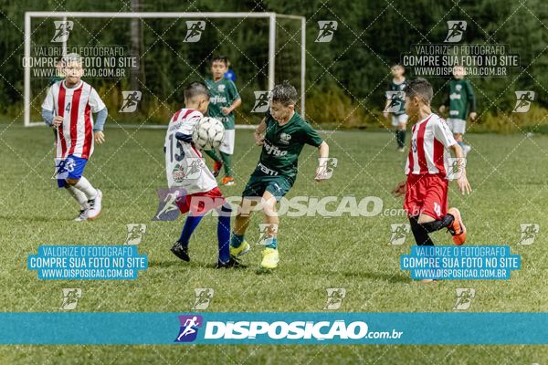 Torneio Academia Palmeiras  x Laranja Mecânica x Toque de Classe