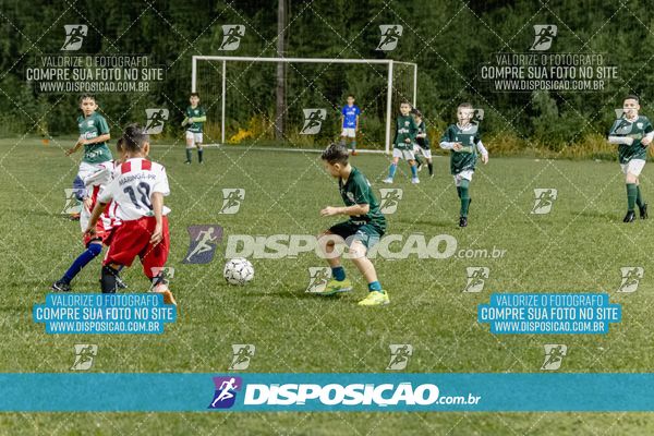 Torneio Academia Palmeiras  x Laranja Mecânica x Toque de Classe