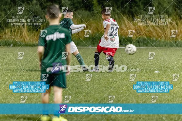Torneio Academia Palmeiras  x Laranja Mecânica x Toque de Classe