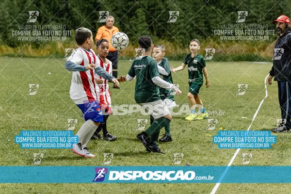 Torneio Academia Palmeiras  x Laranja Mecânica x Toque de Classe