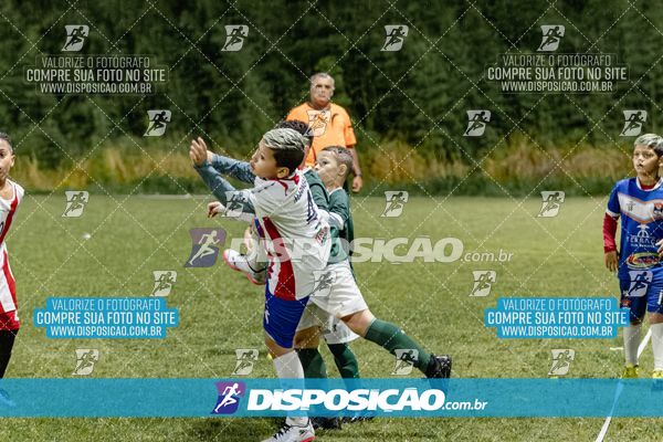Torneio Academia Palmeiras  x Laranja Mecânica x Toque de Classe
