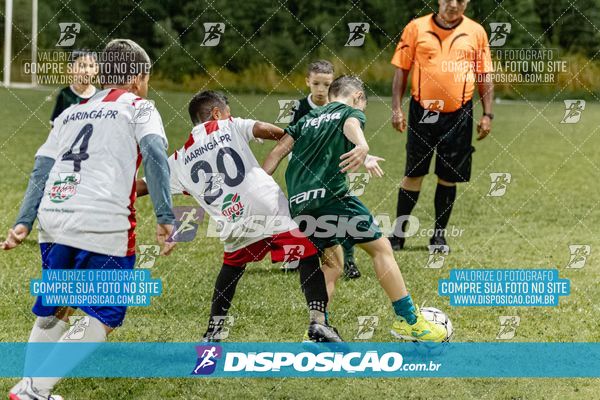 Torneio Academia Palmeiras  x Laranja Mecânica x Toque de Classe