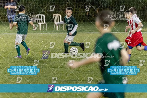 Torneio Academia Palmeiras  x Laranja Mecânica x Toque de Classe