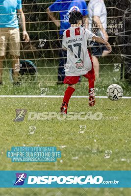 Torneio Academia Palmeiras  x Laranja Mecânica x Toque de Classe