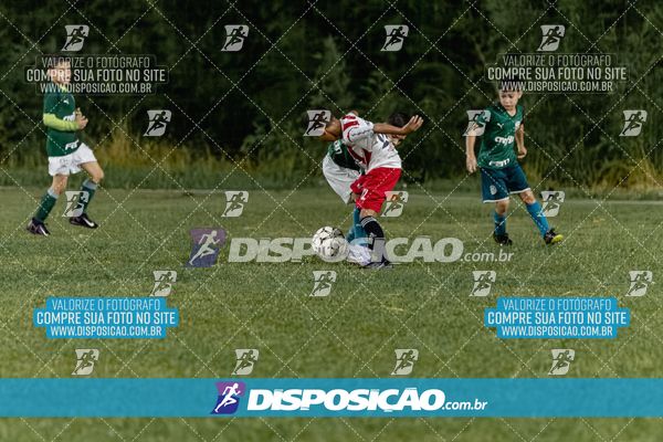 Torneio Academia Palmeiras  x Laranja Mecânica x Toque de Classe