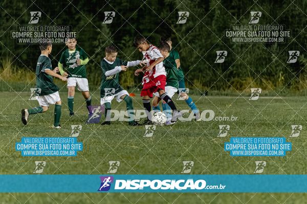 Torneio Academia Palmeiras  x Laranja Mecânica x Toque de Classe