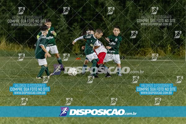 Torneio Academia Palmeiras  x Laranja Mecânica x Toque de Classe