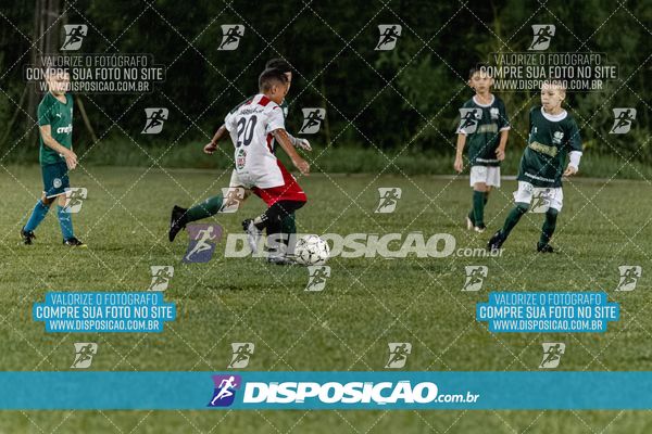 Torneio Academia Palmeiras  x Laranja Mecânica x Toque de Classe