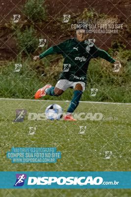 Torneio Academia Palmeiras  x Laranja Mecânica x Toque de Classe