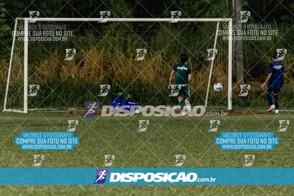 Torneio Academia Palmeiras  x Laranja Mecânica x Toque de Classe