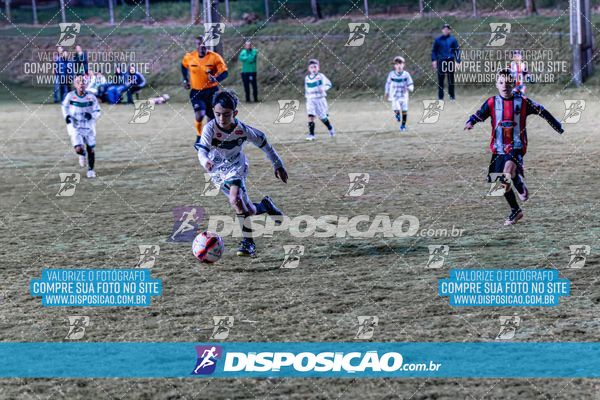 Foto 6554129