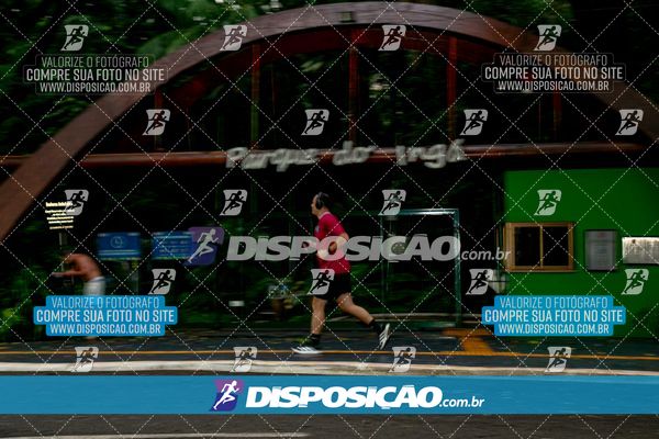 Treinos no Parque do Ingá e  Bosque 2 - Sábado