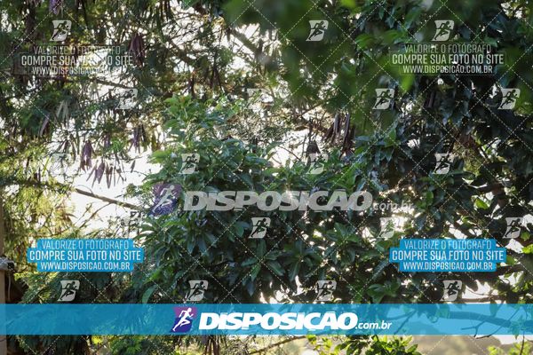 4º CIRCUITO DE PEDALADA E CAMINHADA DE MANDAGUARI