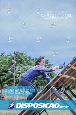 Desafio dos Brutus 2026