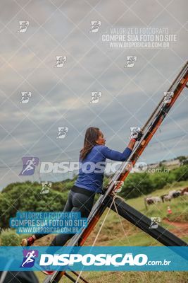 Desafio dos Brutus 2026