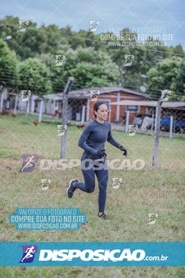 Desafio dos Brutus 2026