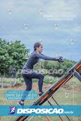 Desafio dos Brutus 2026