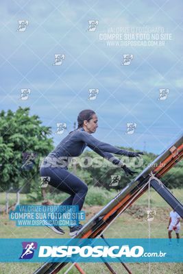 Desafio dos Brutus 2026