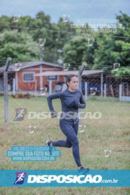 Desafio dos Brutus 2026