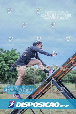 Desafio dos Brutus 2026