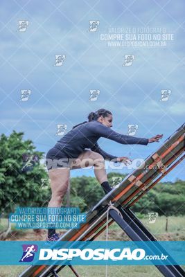 Desafio dos Brutus 2026