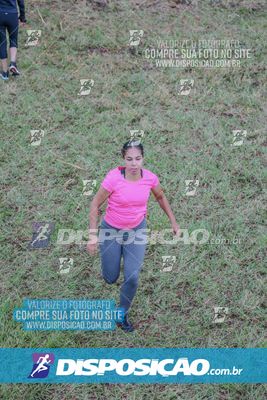 Desafio dos Brutus 2026