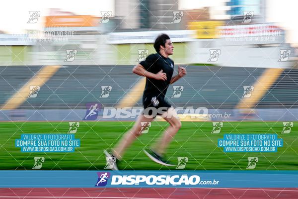 Treinos Quinta Noite