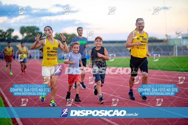 Treinos Quinta Noite