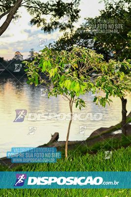Foto 5884974